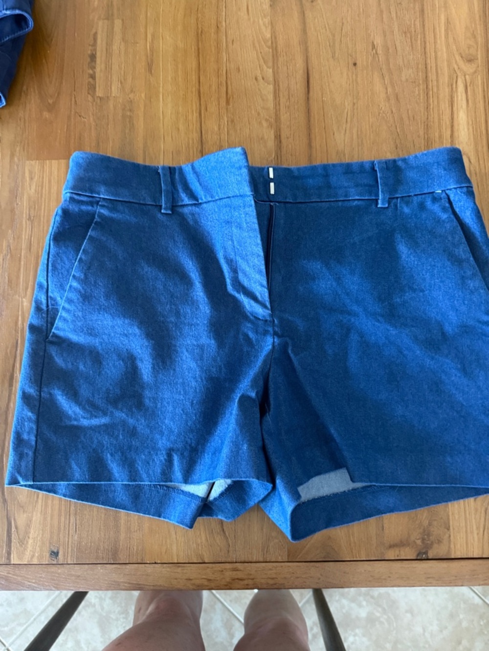 LOFT Riviera Blue Women's Shorts